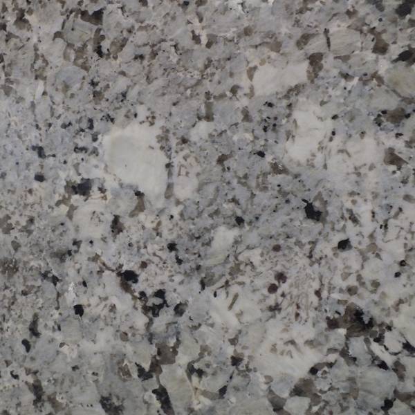 Alaska White